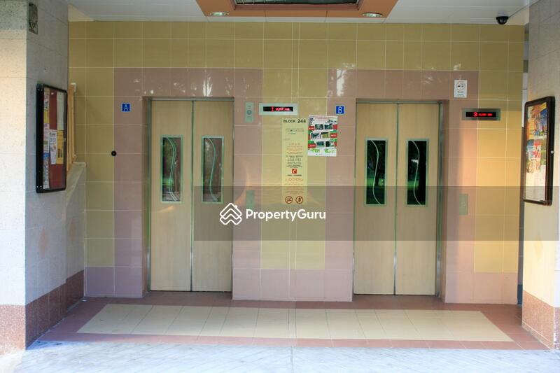 244 Ang Mo Kio Avenue 3 #0