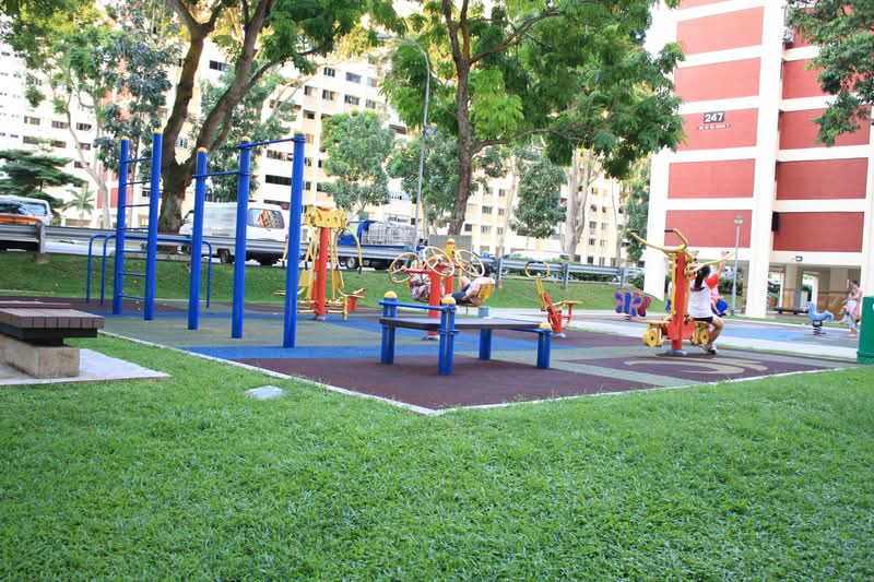 247 Ang Mo Kio Avenue 3 #0