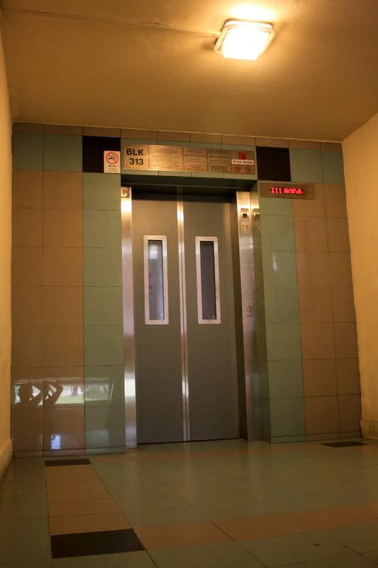 313 Ang Mo Kio Avenue 3