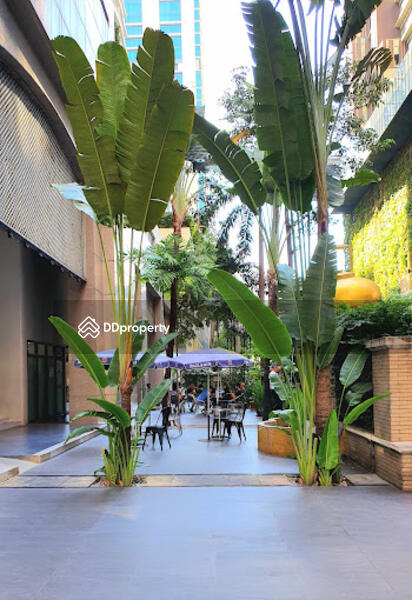 For Rent - The Royal Place 2, Bangkok