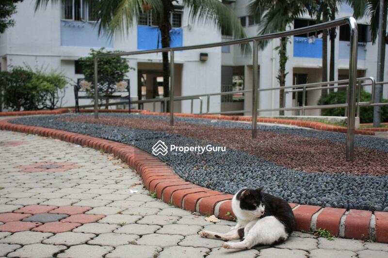 605 Ang Mo Kio Avenue 5 #0