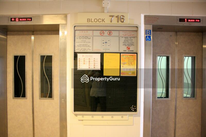 For Rent - 716 Ang Mo Kio Avenue 6
