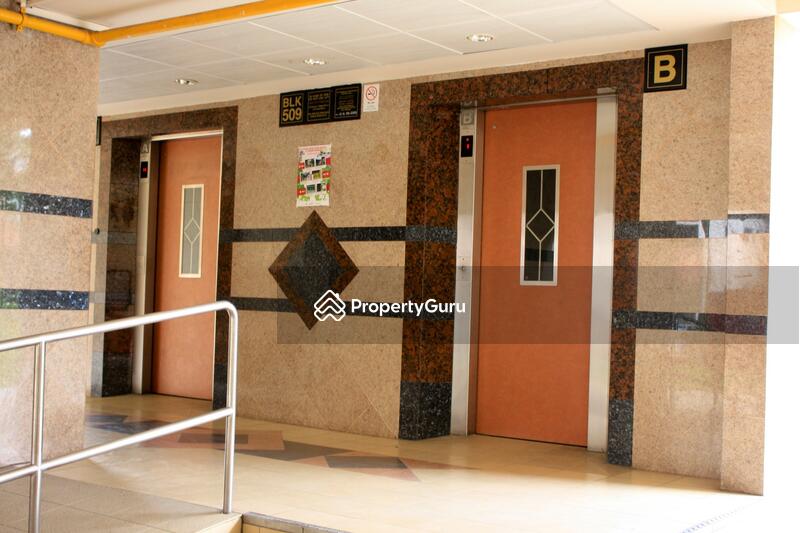 For Rent - 509 Ang Mo Kio Avenue 8