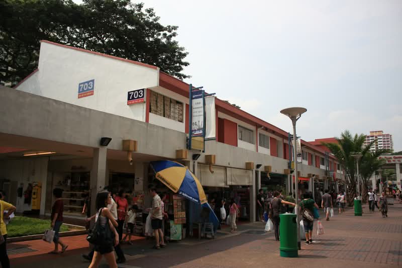703 Ang Mo Kio Avenue 8, 703 Ang Mo Kio Avenue 8, 151 sqft, Shop / Shophouse For Rent, by Robin Toh, 25513618 - CommercialGuru.com.sg