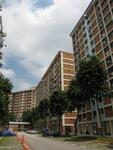 246 Bangkit Road #0