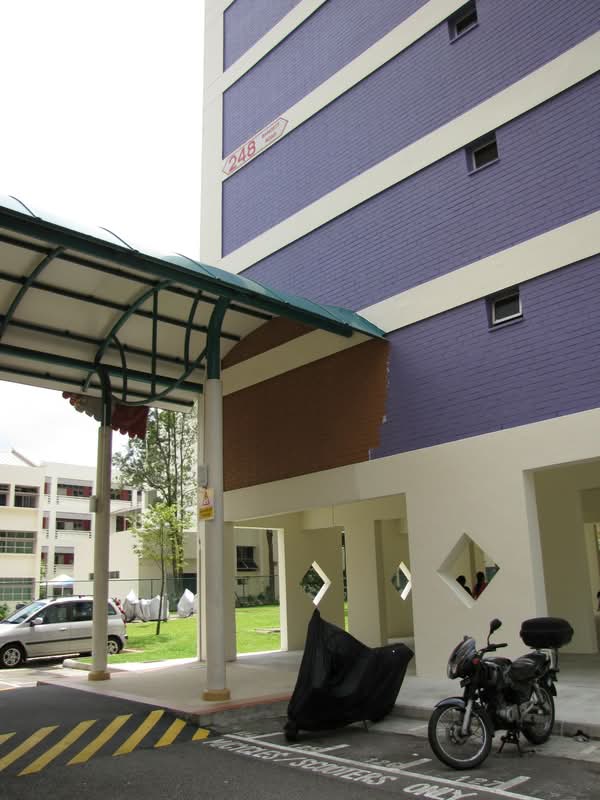 248 Bangkit Road