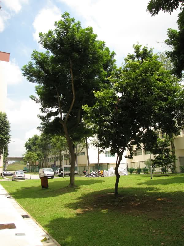 248 Bangkit Road