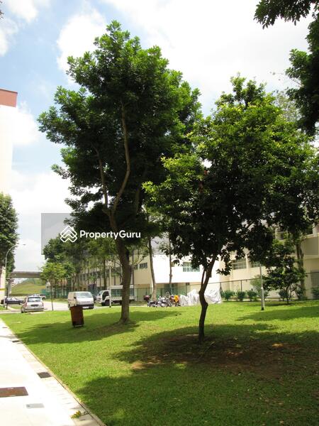 For Rent - 248 Bangkit Road