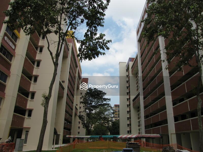 For Rent - 249 Bangkit Road