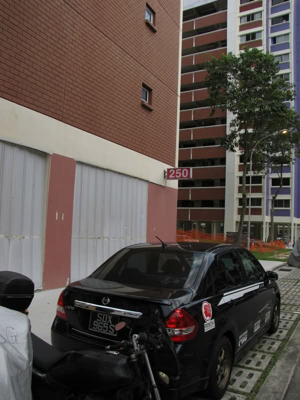 250 Bangkit Road
