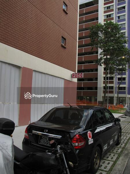 For Rent - 250 Bangkit Road