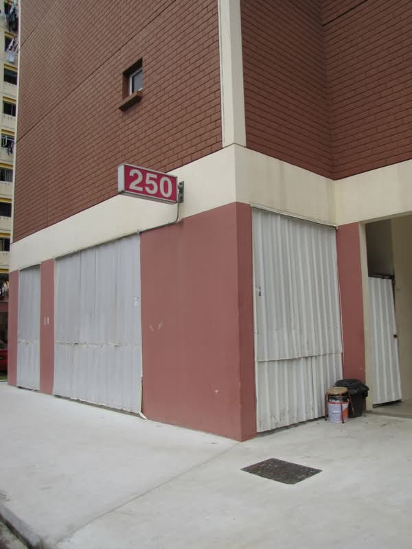 250 Bangkit Road