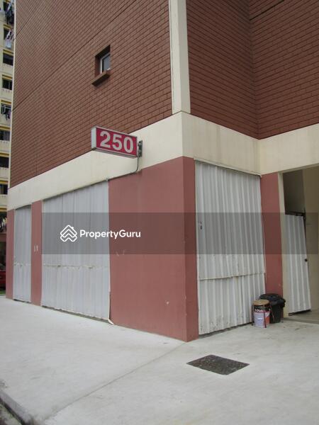 For Rent - 250 Bangkit Road