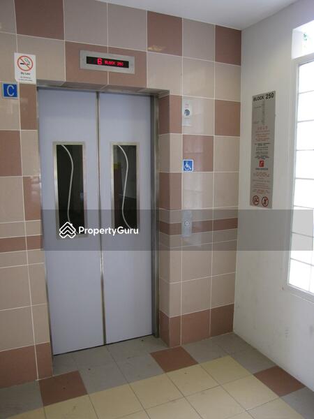 For Rent - 250 Bangkit Road