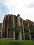 251 Bangkit Road #0