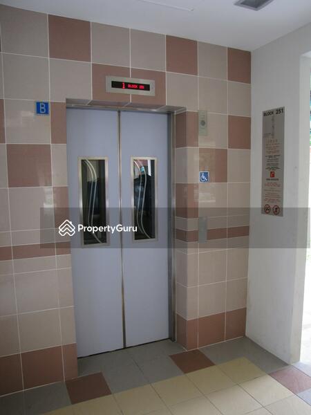 For Rent - 251 Bangkit Road