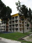 253 Bangkit Road #0
