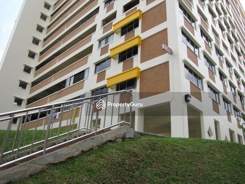 For Rent - 255 Bangkit Road