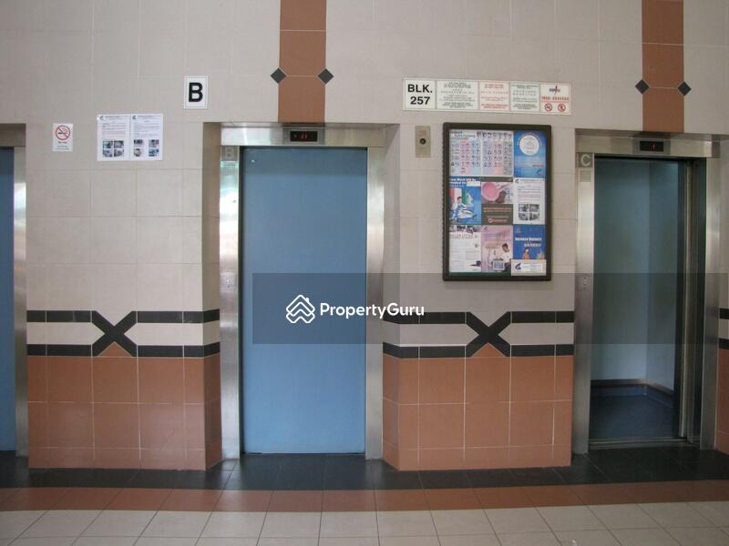 257 Bangkit Road #0