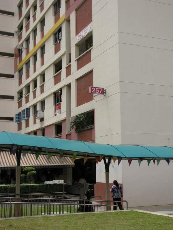257 Bangkit Road