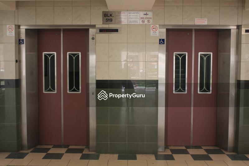 519 Bedok North Avenue 1 #0