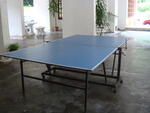 Table tennis