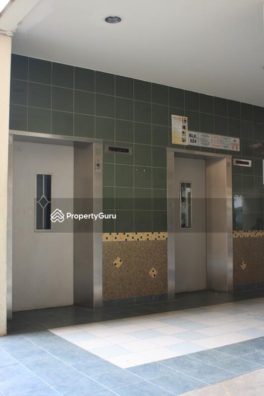 524 Bedok North Street 3 #0