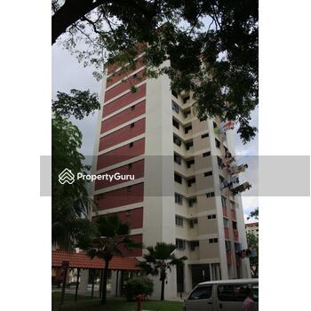 607 Golden Cassia