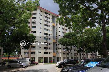608 Golden Cassia