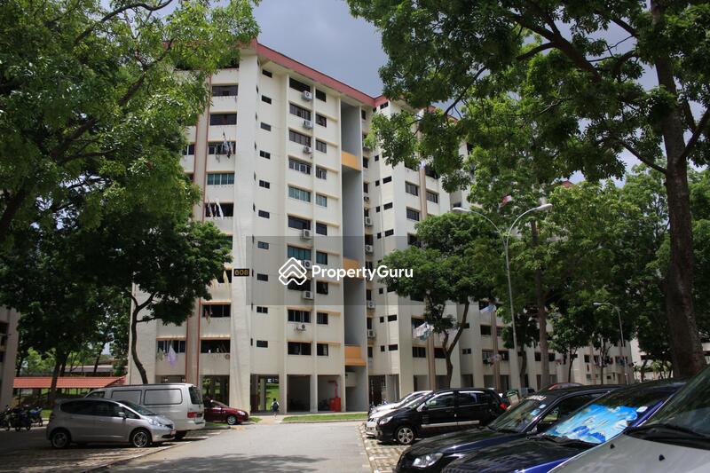 608 Golden Cassia #0
