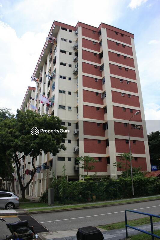 608 Golden Cassia #0