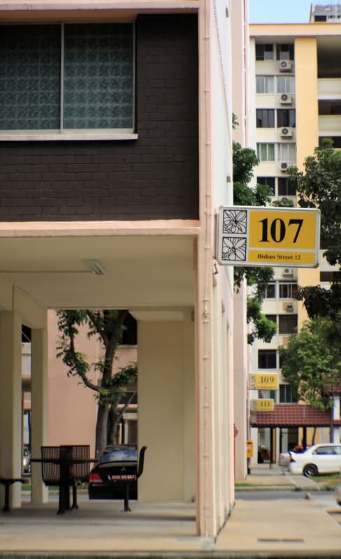 107 Bishan Street 12