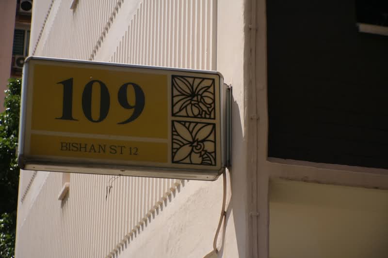109 Bishan Street 12