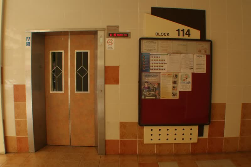 114 Bishan Street 12