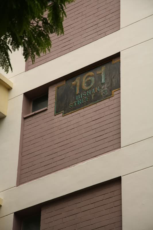 161 Bishan Street 13