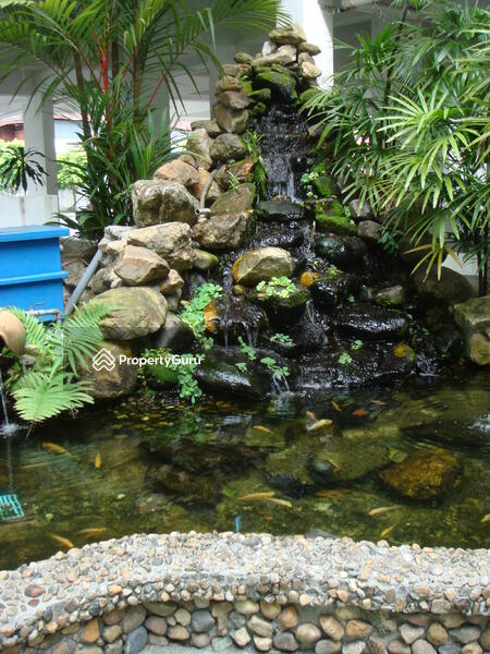 Landscaped Garden