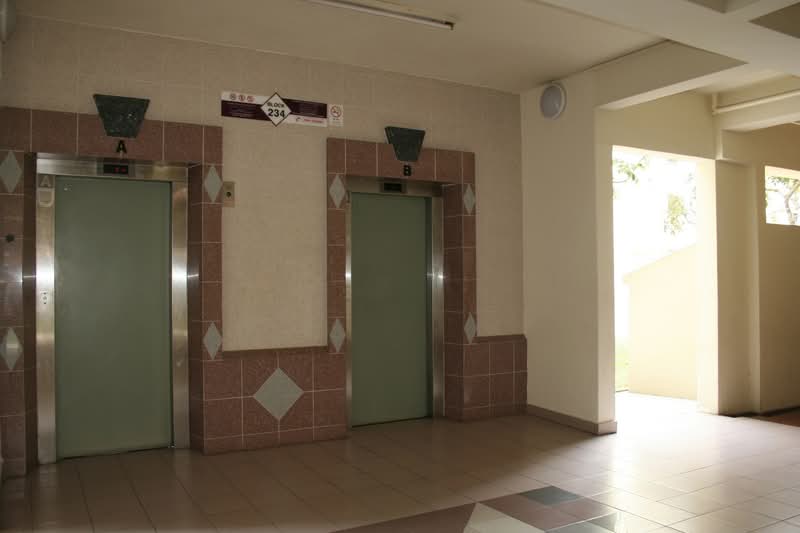234 Bishan Street 22