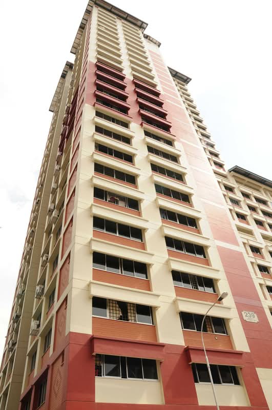 239 Bishan Street 22
