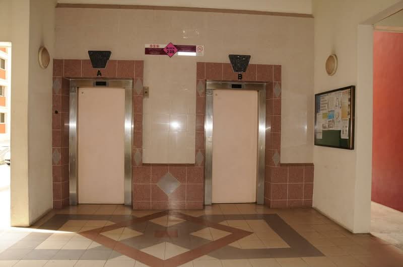 239 Bishan Street 22