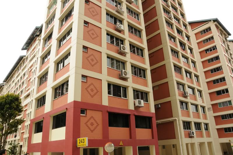 243 Bishan Street 22