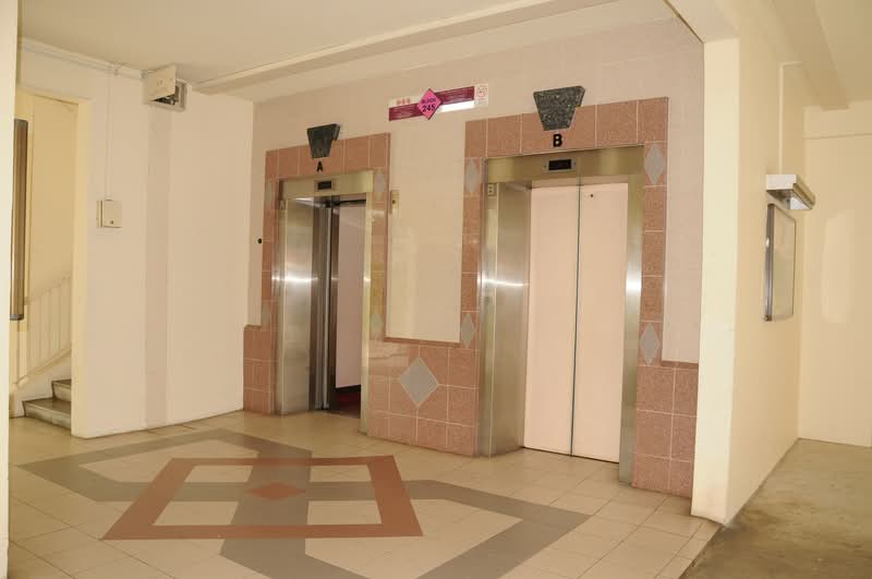 245 Bishan Street 22