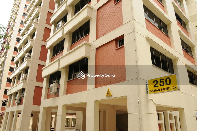 For Sale - 250 Bishan Street 22