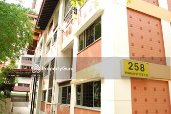 258 Bishan Street 22