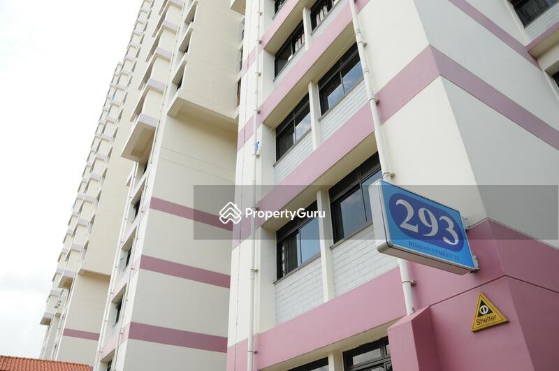 293 Bishan Street 22 #0