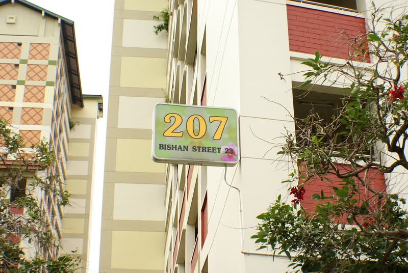 207 Bishan Street 23