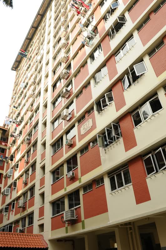 217 Bishan Street 23