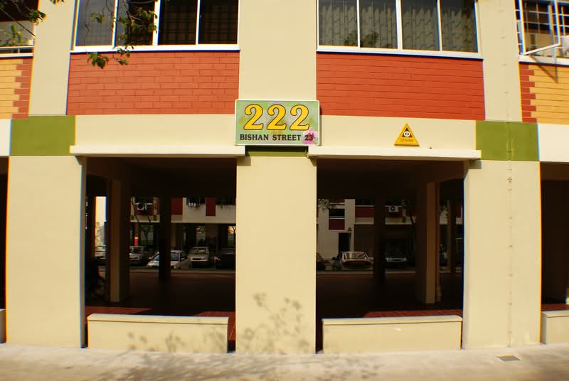 222 Bishan Street 23