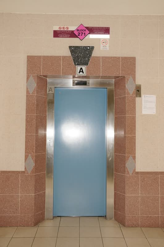 271 Bishan Street 24