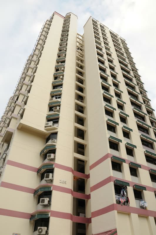 289 Bishan Street 24