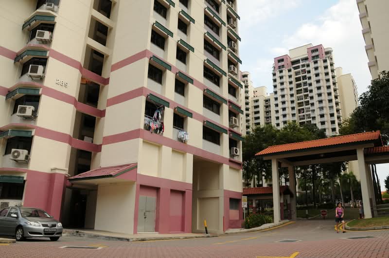 289 Bishan Street 24